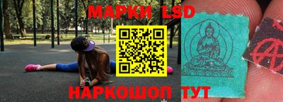 apvp Можга